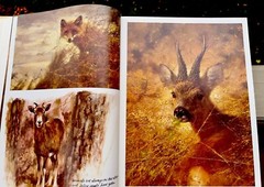 Noah’s Ark Rien Poortvliet First US Edition Abrams 1986 Illustrated HC Oversized