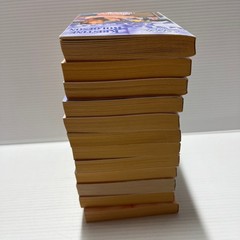 12 Vintage Harlequin Romance Novels 1980s & 1990s – Paper Back – Born in the USA