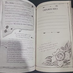 Explorer Bible – HCSB by Lifeway Kids (2014, Paperback) + 30 Days Of Devotions