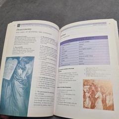 THE BIBLE MADE SIMPLE (MADE SIMPLE (AMG)) By Mark Water Paperback