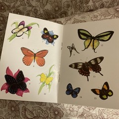 REALISTIC BUTTERFLY STICKERS (DOVER LITTLE ACTIVITY BOOKS) Jan Sovak BRAND NEW