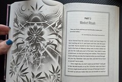 Metaphysical AF Harness Dreams Ethereal Maggie Wilson Hardcover 256 Pages New