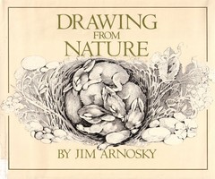 Drawing from Nature