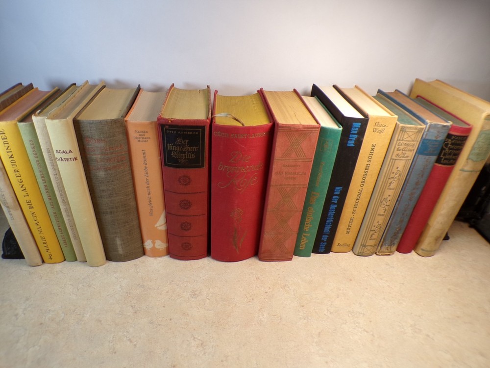 Lot of 17 Vintage German Books Bulk Lot Hardcovers Multicolored