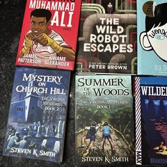 Lot of 12 Chapter Books BOYS Youth Early Reader Young Adults Children Adventure