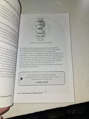 The Shadow Work Journal A Guide to Integrate and Transcend your Shadows N