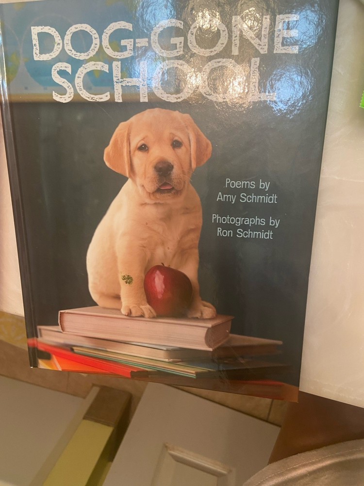 Dog-Gone To School Book( Great Book For Children /Dog Lovers)poem By Amy Schmidt
