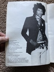 Hendrix : A Biography, by Chris Welch