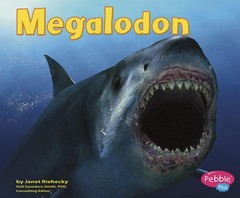 Megalodon (Dinosaurs and Prehistoric Animals) – paperback Riehecky|Janet