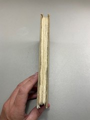 The Book of Job 1897 Roycroft SIGNED Elbert Hubbard #197/350 A Piece of History