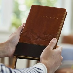 Peace of God Bible: Discover and Experience God’s Shalom Throughout the Bible
