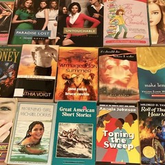 Lot of 53 Chapter Books PB INSTANT LIBRARY Young Adult Teen