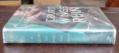 A Court of Wings and Ruin – Sarah J. Maas – 1st Ed/1st Print 2017 HCDJ OOP Cover