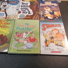 Lot of 12 Chapter Books for Tween BOYS