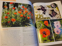 Fine Gardening Magazine -Spring 2026 Issue-Smart Ways to Refresh a Mature Garden