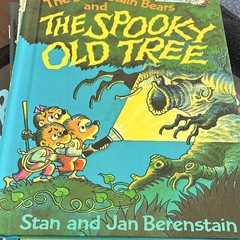 Berenstain Bears hardcover Book Lot of 8 Stan & Jan Berenstain Illustrated