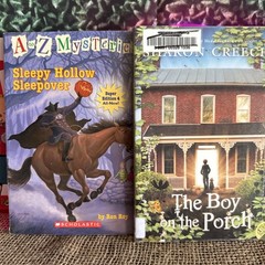 Lot of 10 Chapter Books for BOYS Youth Early Reader Young Adults Children RANDOM