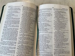 Bible NIV 1984 Thinline Forest Green Bonded Leather Double Column