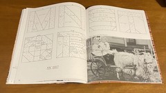 Quilts & Stories from the Peace Creek Homestead, 1874-1900 by Terry Thompson