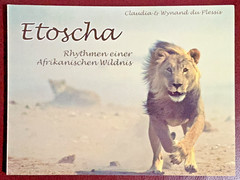 Claudia & Wynand du Plessis @ Etoscha @ Rythmen einer Afrikanischen Wildnis 2003