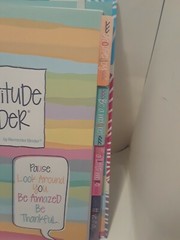 Gratitude Finder- 52 Week – Non-Dated Daily Positive – Greatitude Finder