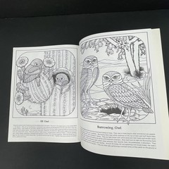 Desert Wildlife of the Southwest Coloring Album Book 1974 Rita Warner Deer Fox