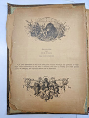 The Savage World A Complete Natural History J.W. Buel (1891, HC) 1st Eds Book
