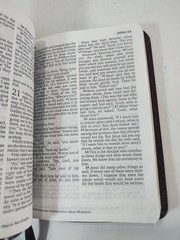 NIV New Testament Psalms Proverbs Bonded Leather Burgundy English Pocket Bible