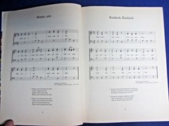 DIE SCHONSTEN VOLKS-UND KINDERLIEDER, DELPHIN VERLAG, GERMANY, 1981, 255 PAGES