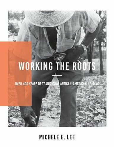 Working The Roots: Over 400 Years of Traditional African American Healing by Lee
