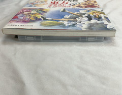 Touhou Illustration Techniques Art Book Japanese Manga Anime Drawing Guide