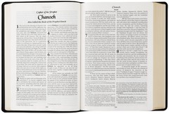 Cepher Package Deal – Standard Print: Buy Direct from the Publisher & Save!