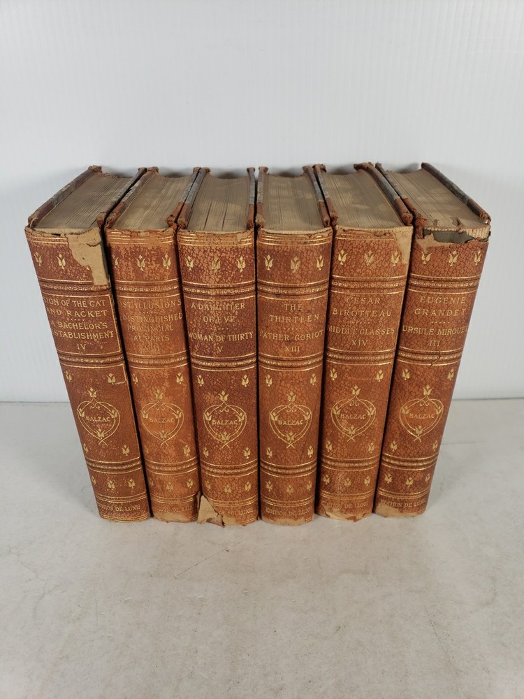 The Works of Honore De Balzac 6 Volumes-3, 4, 5, 8, 13, 14 (1901 Edition de Luxe