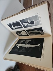 VINGT-CINQ ANS D’ELEGANCE A PARIS 1925-1050 Rochas Marcel Fashion Photography