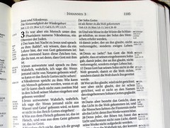 German Bible, Die Bibel, Schlachter 2000, Imitation Leather, Brown Black 2-toned