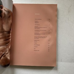 The Color of Life: Polychromy in Sculpture from Antiquity to the Present by pap