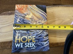 The Hope We Seek. Rich Shapero. 432 Pages. Paperback.