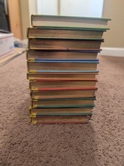 The Royal Diaries Hard Cover Book Set Lot Of 11
