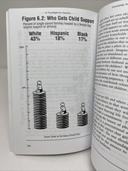 Torchlight for America Louis Farrakhan Paperback Clean Pages Name Inside Covers