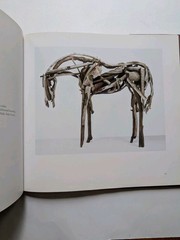 Deborah Butterfield Horse Sculptures Art Book Robert Gordon Abrams Hardcover VG