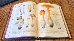 Antique 1920 National Geographic Magazine Hard Cover 2-Book Set Jan-Dec