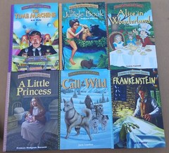 Treasury Of Illustrated Classics Hardcover Books Lot Of 24. Beauty Oz Holmes Pan