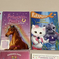 Lot Of 13 Chapter Books Girls Interest Grades 1st-3rd Ages 6-9 J