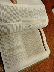 Zondervan NIV Cultural Backgrounds Study Bible Leathersoft Green