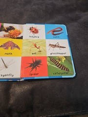 2011, „First 100 Animals” by Roger Priddy Children’s Board Book