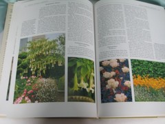 Growing Fragrant Plants Rayford Clayton Beddel 176 pages First Edition
