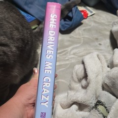 She Drives Me Crazy by Kelly Quindlen Hardcover 2021 Roaring Brook Press