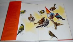 GNOMES BOOK By WIL HUYGEN & ILLUSTRATED BY RIEN POORTVLIET, 30th Anniversary Ed.