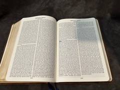 Rare Custom cepher bible Apocrypha Deuterocanonical Premium Leather Brown Enoch