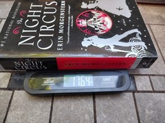 The Night Circus: A Novel Erin Morgenstern Paperback Excellent Condition